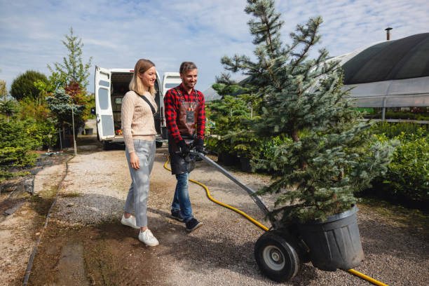 North Pearsall, TX Tree Service Company